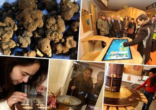 住宿加早餐  La Maison Du Bonheur