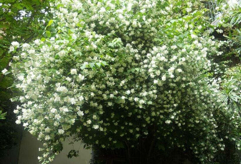 تختخواب و صبحانه Le Cloitre Du Couvent