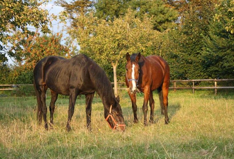 ベッドアンドブレックファースト Le Clos Marie
