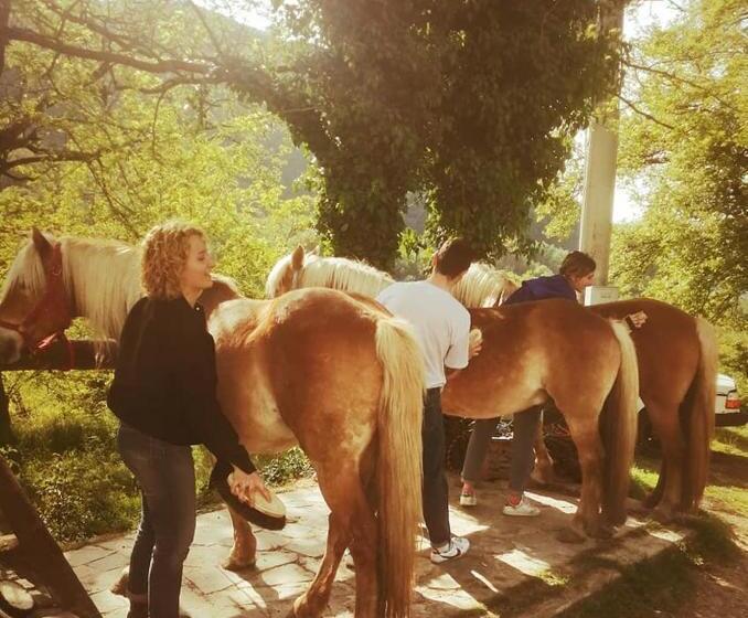 مبيت وإفطار Monte Termine Country House