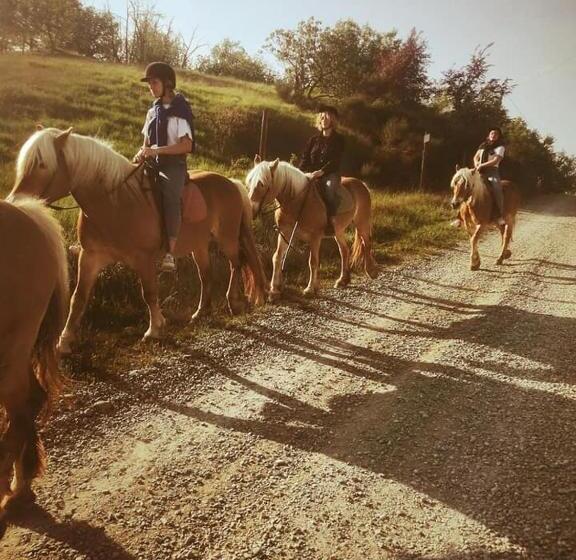 مبيت وإفطار Monte Termine Country House