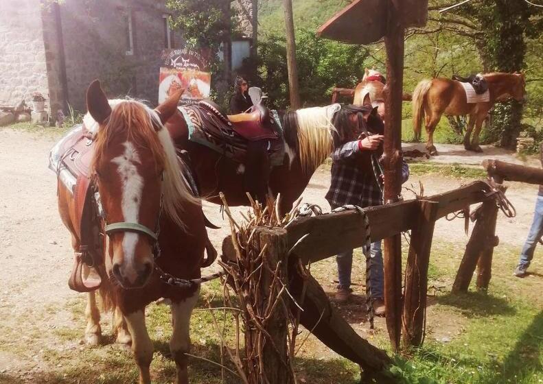 צימר Monte Termine Country House