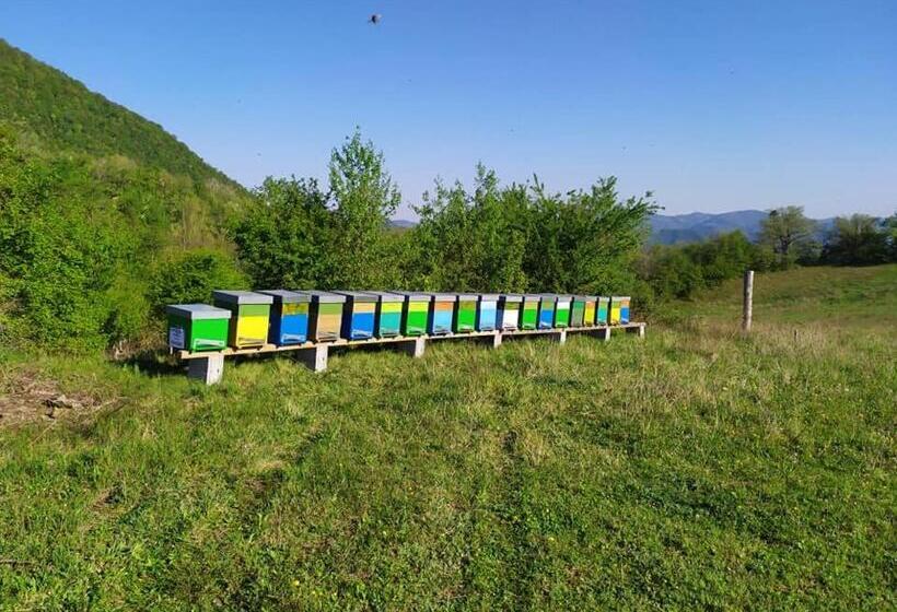 צימר Monte Termine Country House