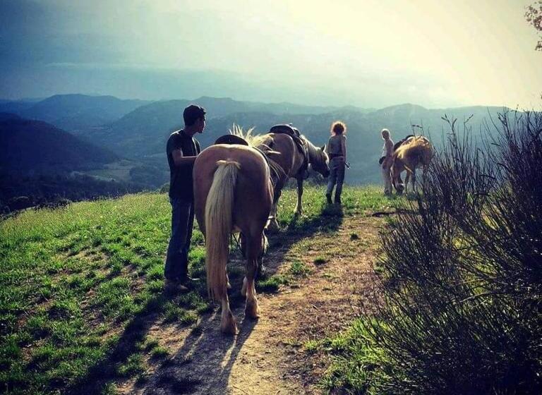 مبيت وإفطار Monte Termine Country House