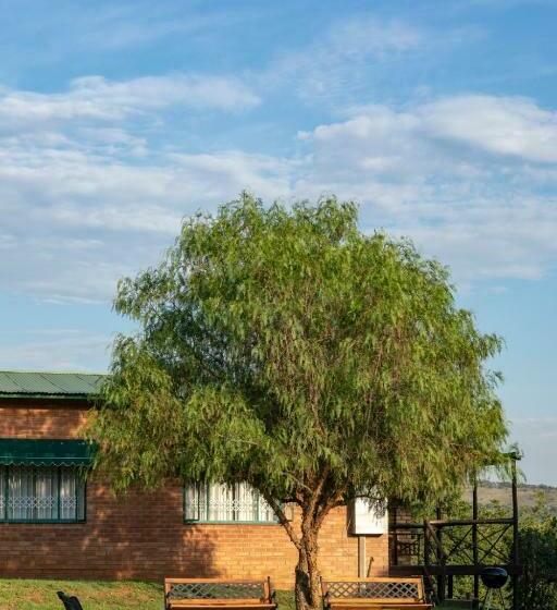 住宿加早餐  Olive Tree Farm