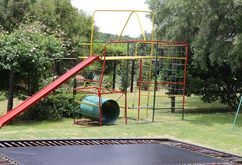 住宿加早餐  Olive Tree Farm