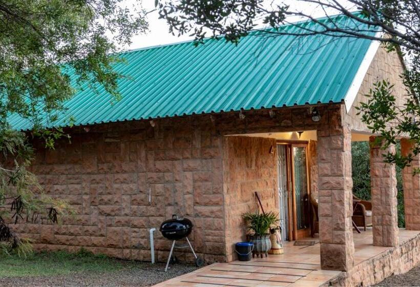 住宿加早餐  Olive Tree Farm