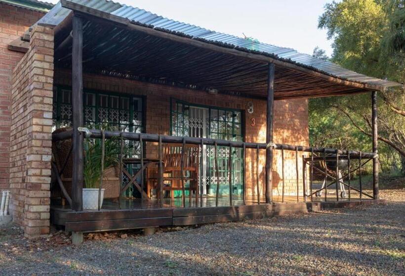 住宿加早餐  Olive Tree Farm