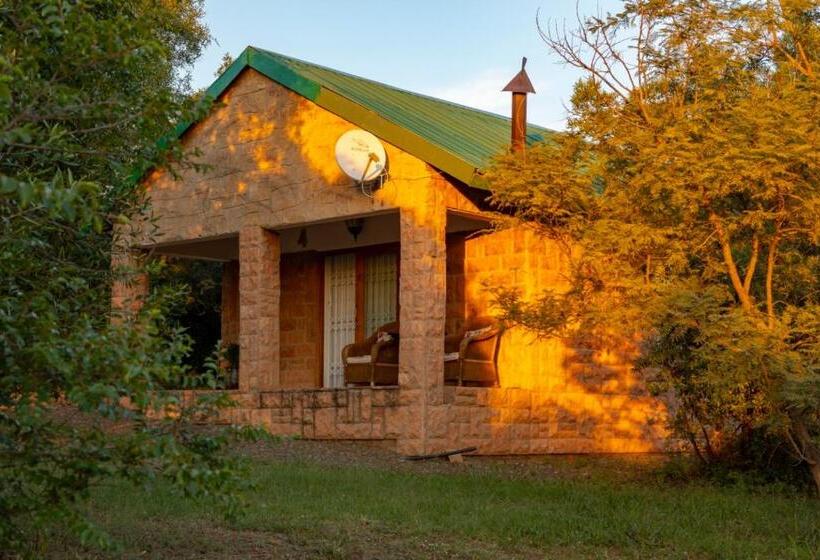 住宿加早餐  Olive Tree Farm