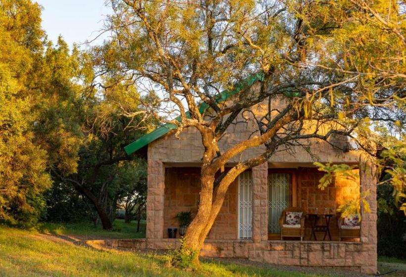 住宿加早餐  Olive Tree Farm