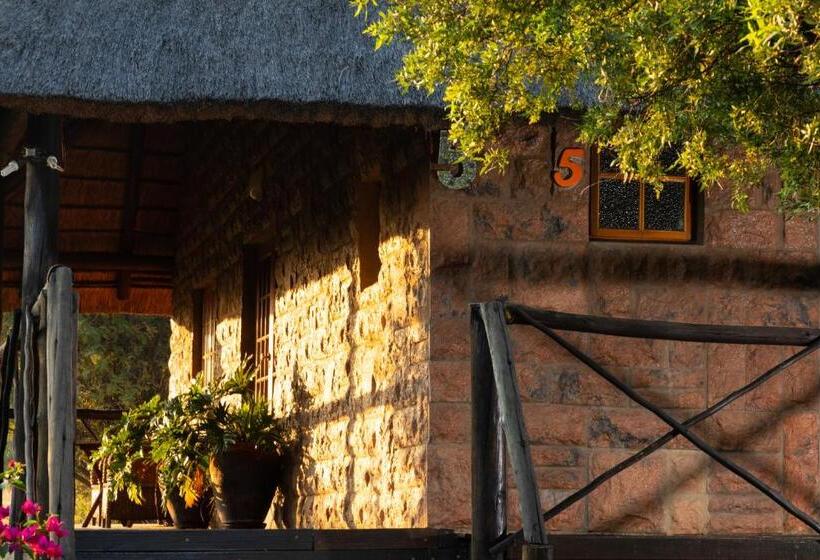 住宿加早餐  Olive Tree Farm