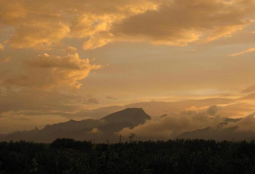 ベッドアンドブレックファースト River Ebro Holidays