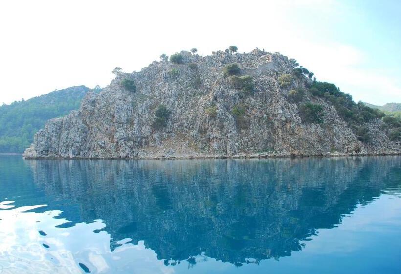 住宿加早餐  Sakin Vadi Winehouse