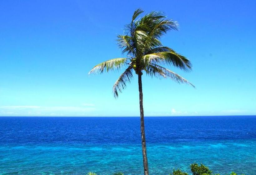 Blue Star Dive And Resort