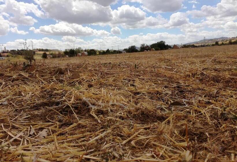 בית מלון כפרי Country Rooms & Suite La Quercia