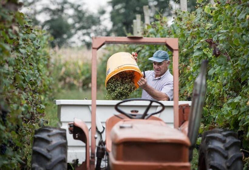 Отель Dai Minisins