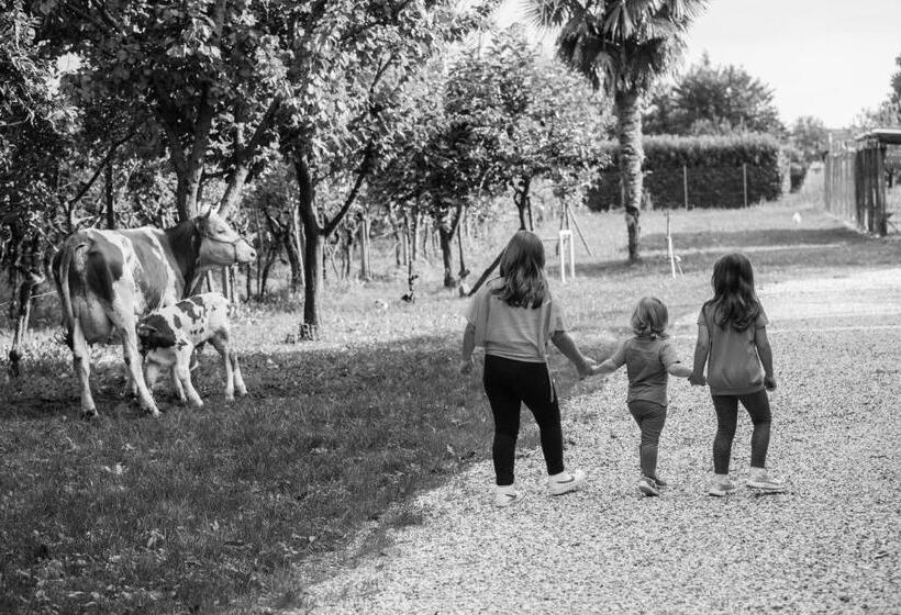 Отель Dai Minisins