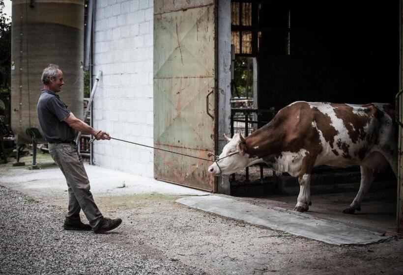 Отель Dai Minisins