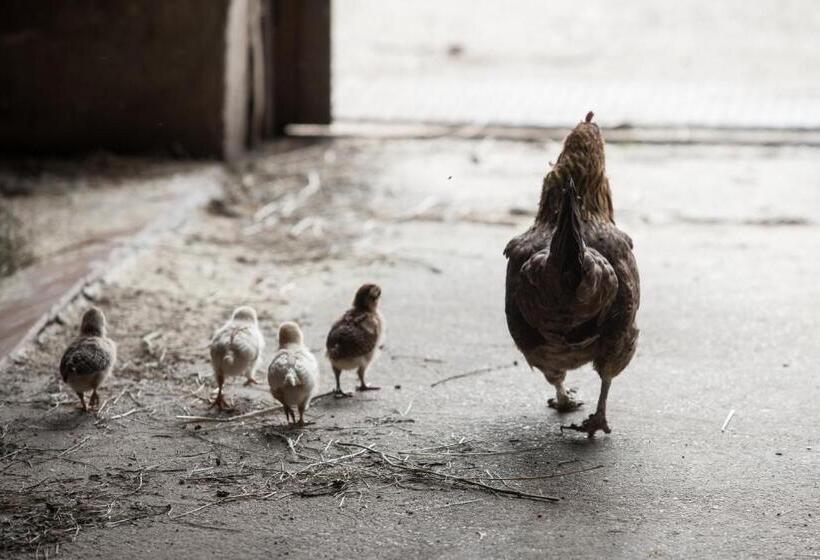 Отель Dai Minisins