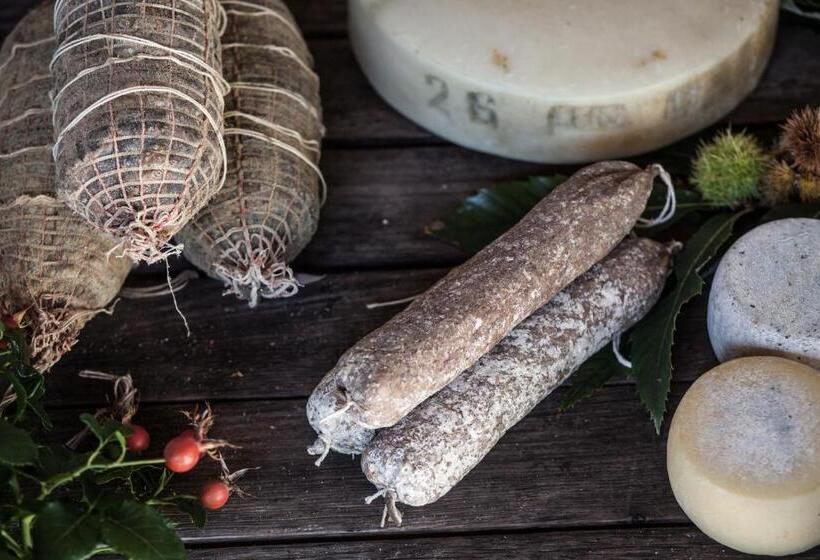 Отель Dai Minisins