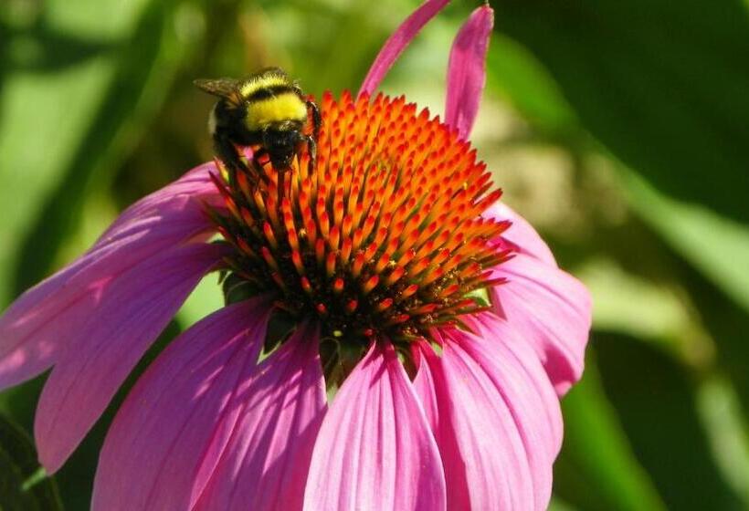 هتل Herbalija Apartment Herbalija Sorrounded By Nature