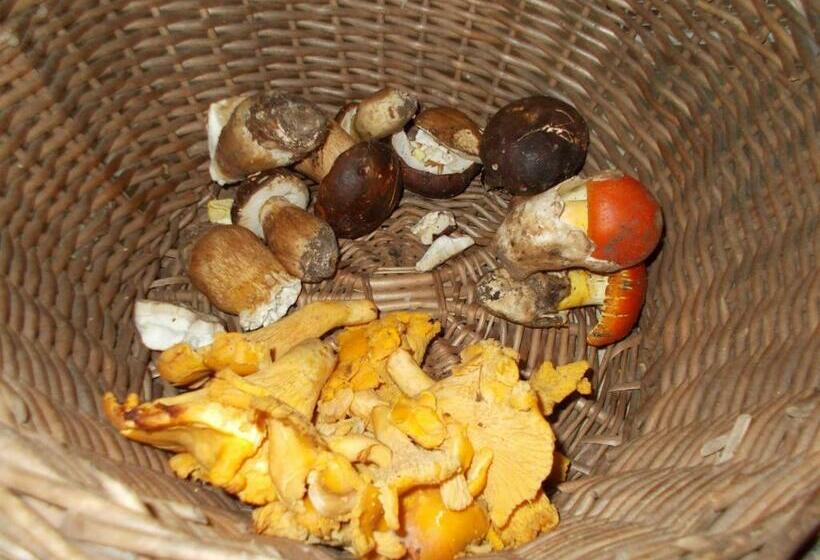 فندق La Masseriola Agriturismo