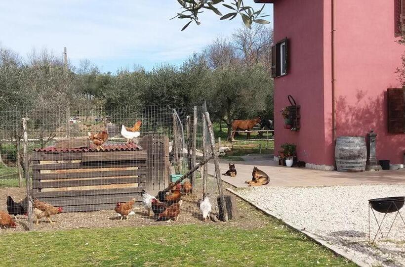 فندق La Masseriola Agriturismo