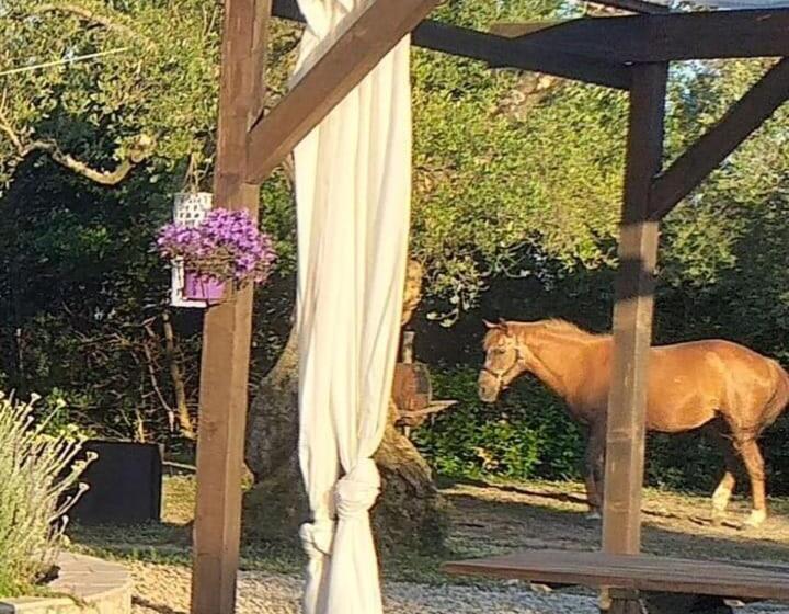 فندق La Masseriola Agriturismo