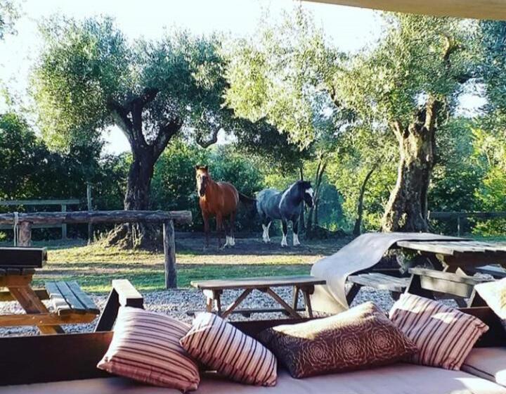 فندق La Masseriola Agriturismo