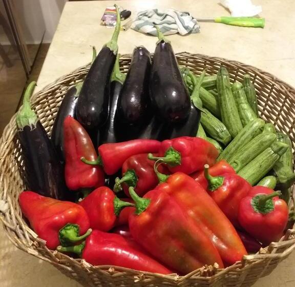 فندق La Masseriola Agriturismo