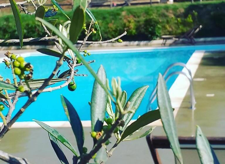 فندق La Masseriola Agriturismo