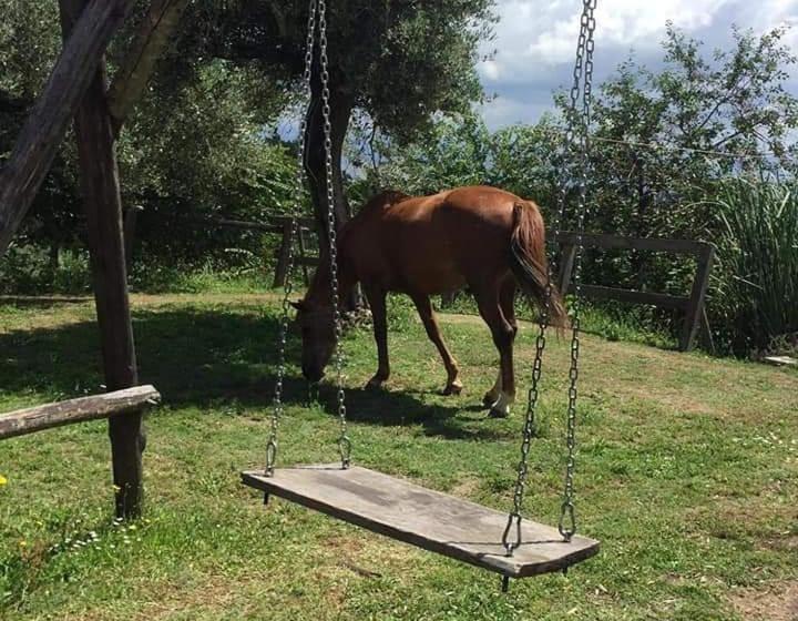 فندق La Masseriola Agriturismo