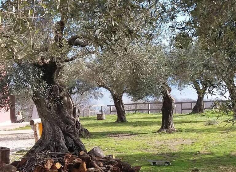 فندق La Masseriola Agriturismo