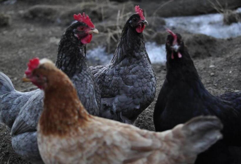 호텔 Stockreiter Vulgo Grillschmied