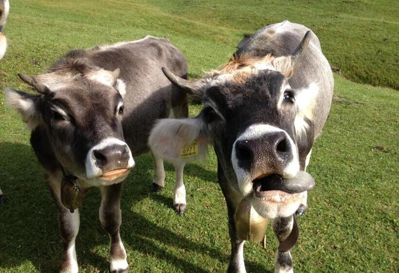 ホテル Sule Hof Agriturismo