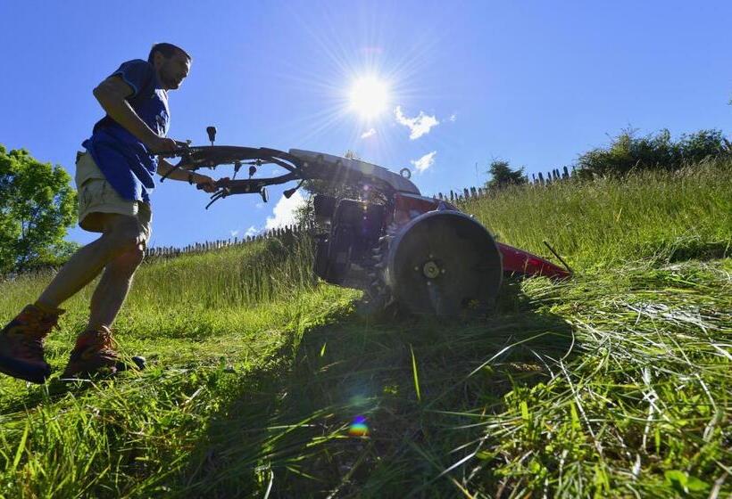 ホテル Sule Hof Agriturismo