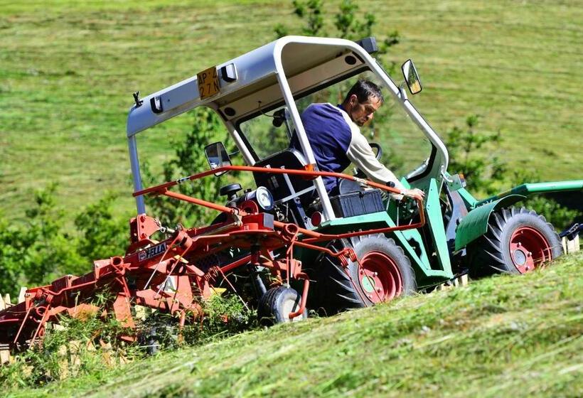 ホテル Sule Hof Agriturismo