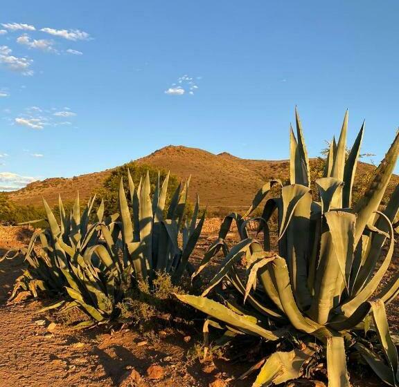 בית מלון כפרי Waterval Farmstay
