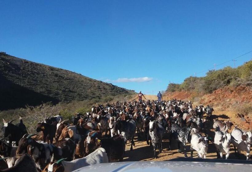 בית מלון כפרי Waterval Farmstay