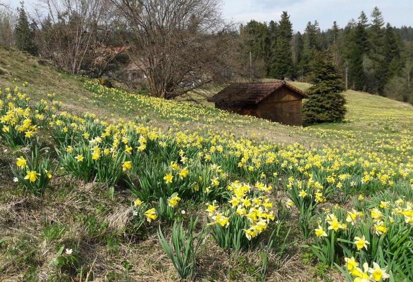 بنسيون B&b Chalet L Epinette