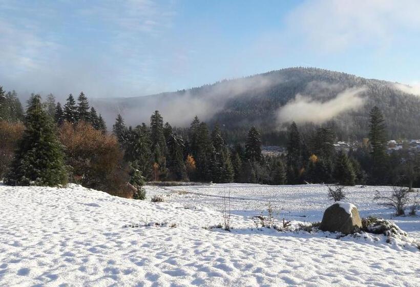 بنسيون B&b Chalet L Epinette