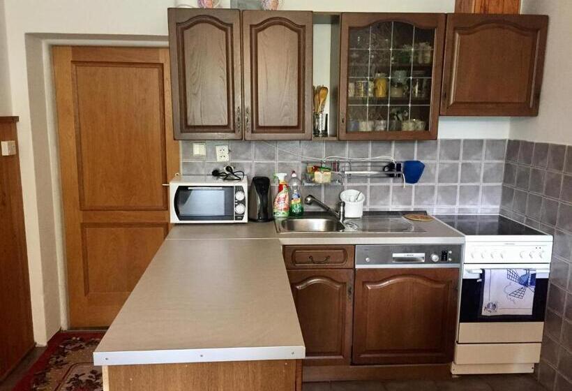 پانسیون Chalupa U Potoka