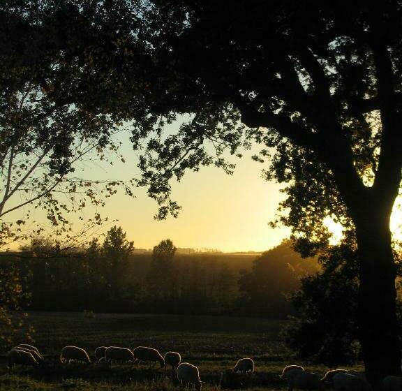 بنسيون La Ferme Montplaisir