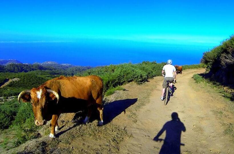 بنسيون Madeira Native Motion Guest House