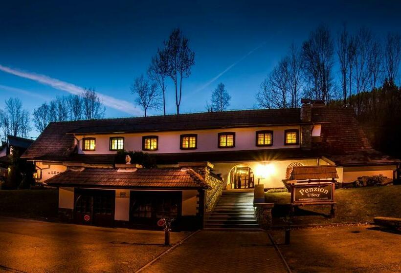 بنسيون Penzion U Sovy