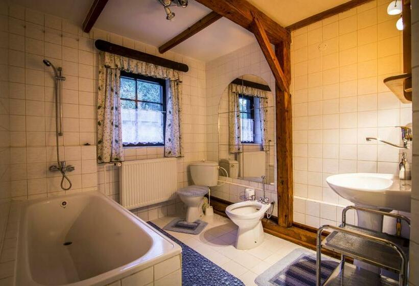 بنسيون Penzion U Sovy