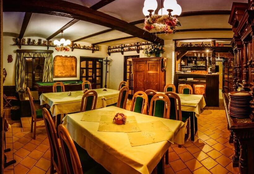 بنسيون Penzion U Sovy