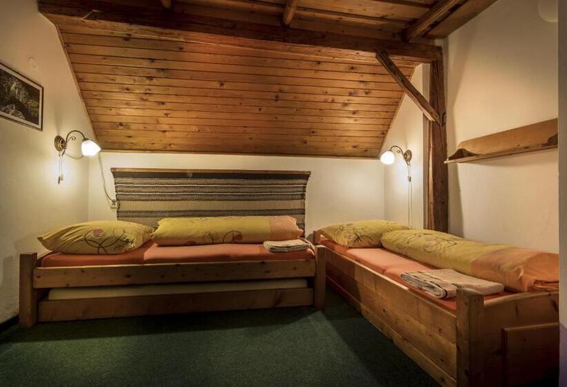 بنسيون Penzion U Sovy