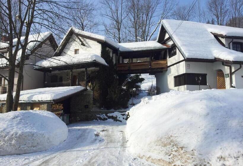 بنسيون Penzion U Sovy