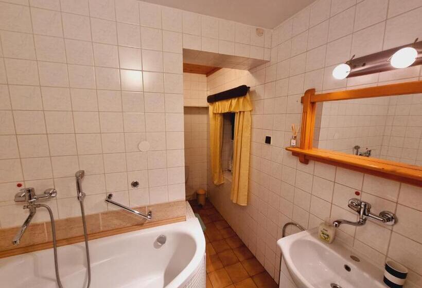 بنسيون Penzion U Sovy